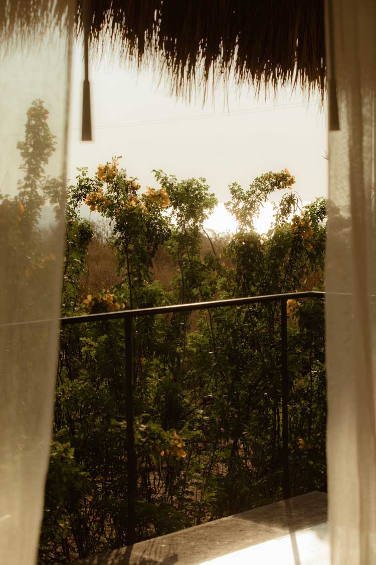Basecamp Jungle Treehouse view