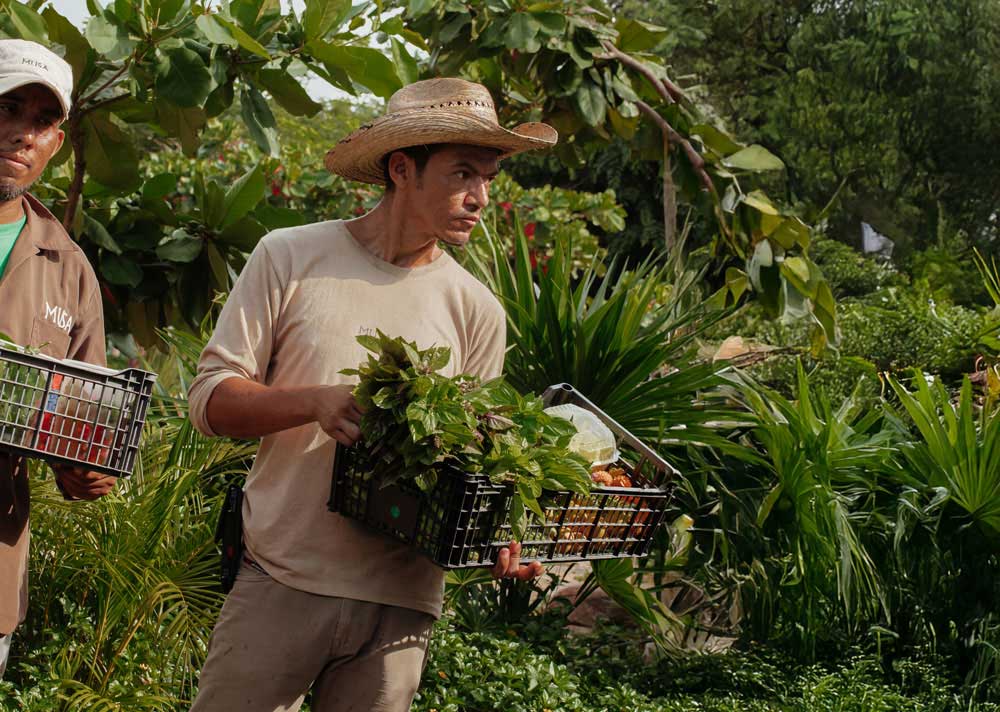 Organic Farm Marketplace